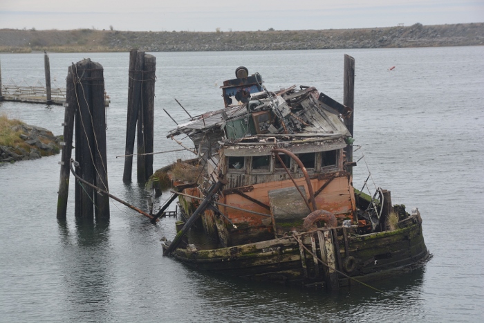 The Mary D. Hume Shipwreck